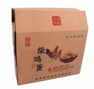 运输中碰撞试验，国际安全运输检测