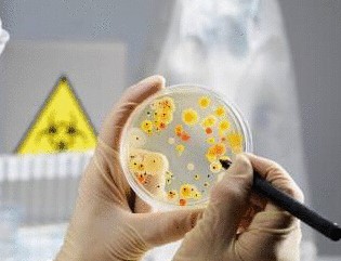 食品微生物检测